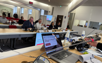 The impact of the new EWC directive on Renault Group Works’ Council 